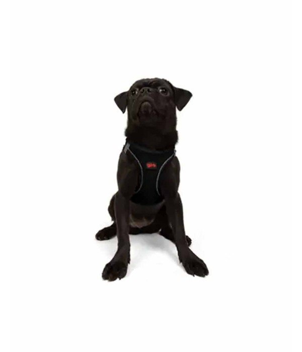 Tailpetz Air-mesh Harness Köpek Göğüs Tasması - Siyah M