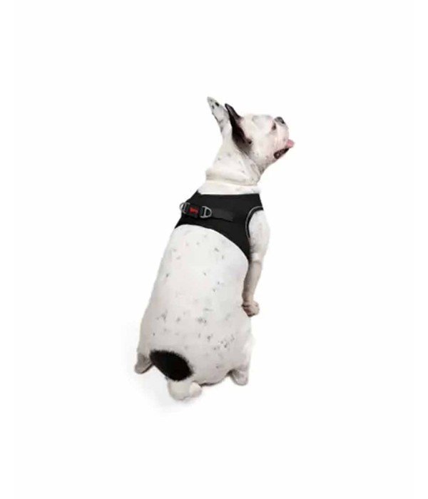 Tailpetz Air-mesh Harness Köpek Göğüs Tasması - Siyah L