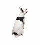 Tailpetz Air-mesh Harness Köpek Göğüs Tasması - Siyah L