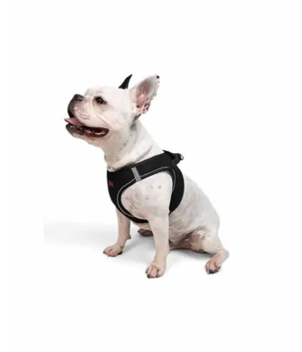Tailpetz Air-mesh Harness Köpek Göğüs Tasması - Siyah L