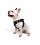 Tailpetz Air-mesh Harness Köpek Göğüs Tasması - Siyah L