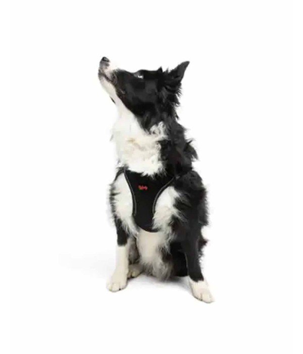 Tailpetz Air-mesh Harness Köpek Göğüs Tasması - Siyah XL