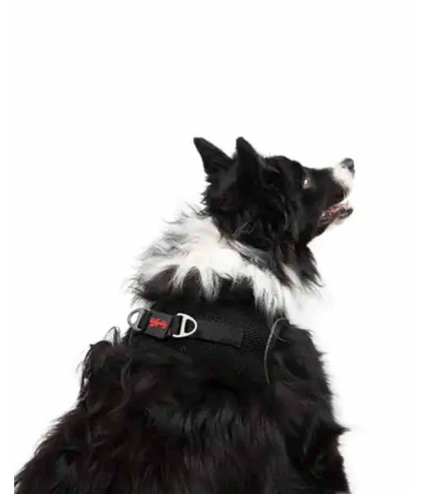 Tailpetz Air-mesh Harness Köpek Göğüs Tasması - Siyah XL