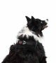 Tailpetz Air-mesh Harness Köpek Göğüs Tasması - Siyah XL
