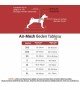 Tailpetz Air-mesh Harness Köpek Göğüs Tasması - Siyah S