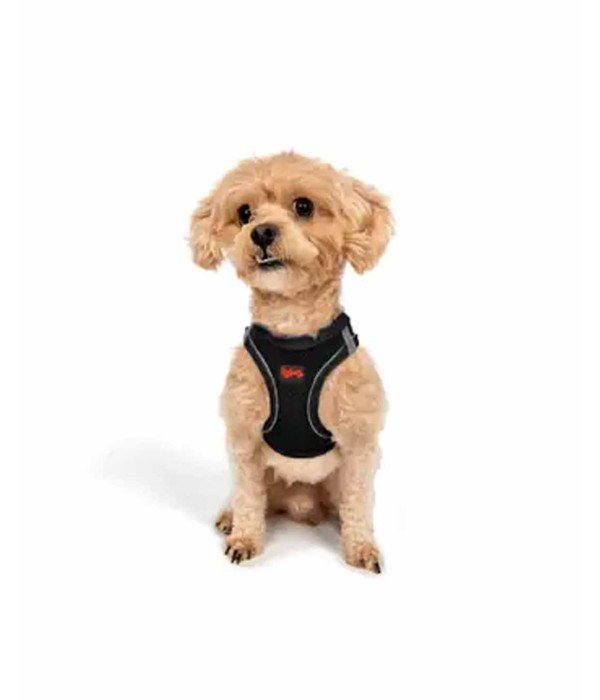 Tailpetz Air-mesh Harness Köpek Göğüs Tasması - Siyah 3XS