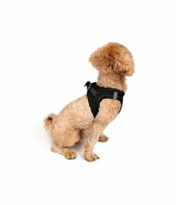 Tailpetz Air-mesh Harness Köpek Göğüs Tasması - Siyah 3XS