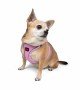 Tailpetz Air-mesh Harness Köpek Göğüs Tasması - Lila 3XS Tailpetz Air-mesh Harness Köpek Göğüs Tasması - Lila 3XS