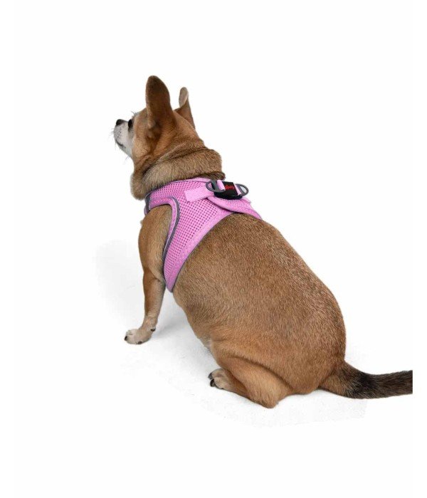 Tailpetz Air-mesh Harness Köpek Göğüs Tasması - Lila 3XS Tailpetz Air-mesh Harness Köpek Göğüs Tasması - Lila 3XS