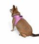 Tailpetz Air-mesh Harness Köpek Göğüs Tasması - Lila 3XS