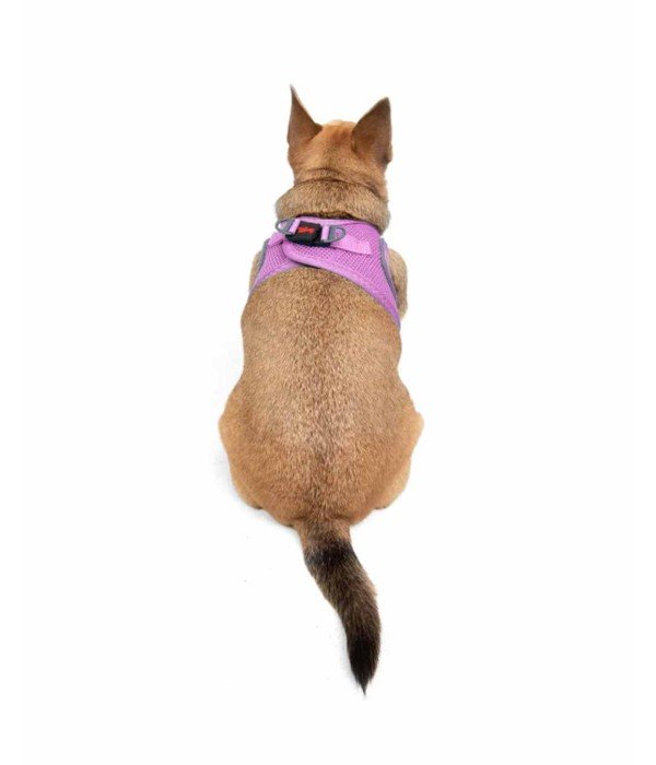 Tailpetz Air-mesh Harness Köpek Göğüs Tasması - Lila 3XS
