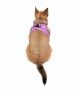 Tailpetz Air-mesh Harness Köpek Göğüs Tasması - Lila 3XS Tailpetz Air-mesh Harness Köpek Göğüs Tasması - Lila 3XS
