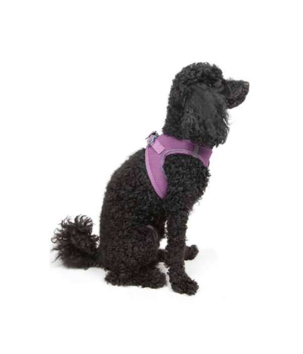 Tailpetz Air-mesh Harness Köpek Göğüs Tasması - Lila XS