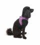 Tailpetz Air-mesh Harness Köpek Göğüs Tasması - Lila XS