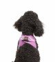 Tailpetz Air-mesh Harness Köpek Göğüs Tasması - Lila XS