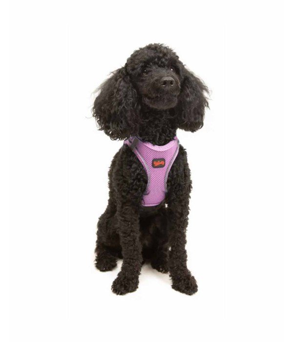 Tailpetz Air-mesh Harness Köpek Göğüs Tasması - Lila XS