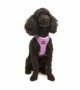 Tailpetz Air-mesh Harness Köpek Göğüs Tasması - Lila XS