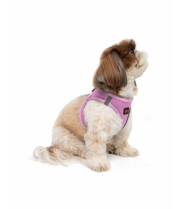 Tailpetz Air-mesh Harness Köpek Göğüs Tasması - Lila S
