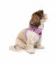 Tailpetz Air-mesh Harness Köpek Göğüs Tasması - Lila S