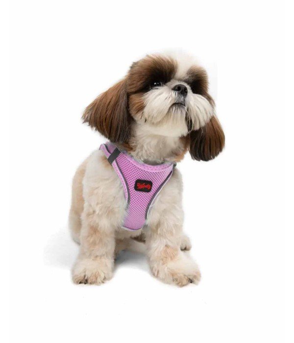 Tailpetz Air-mesh Harness Köpek Göğüs Tasması - Lila S