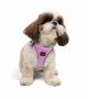 Tailpetz Air-mesh Harness Köpek Göğüs Tasması - Lila S