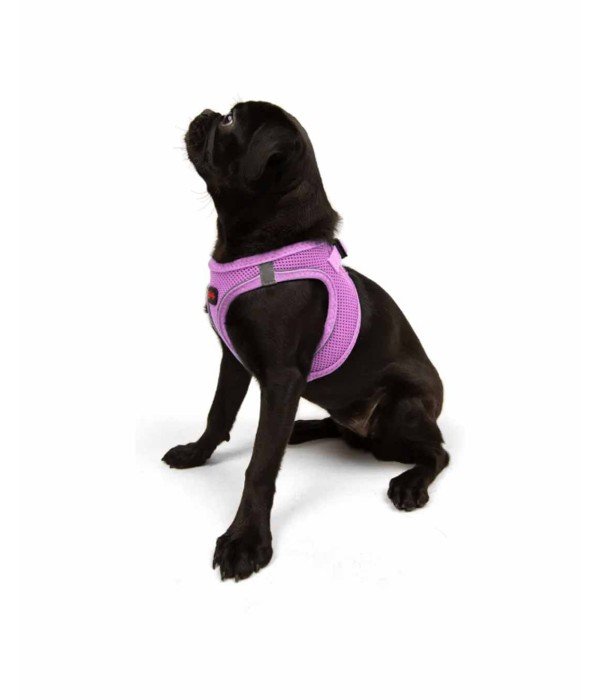 Tailpetz Air-mesh Harness Köpek Göğüs Tasması - Lila M Tailpetz Air-mesh Harness Köpek Göğüs Tasması - Lila M