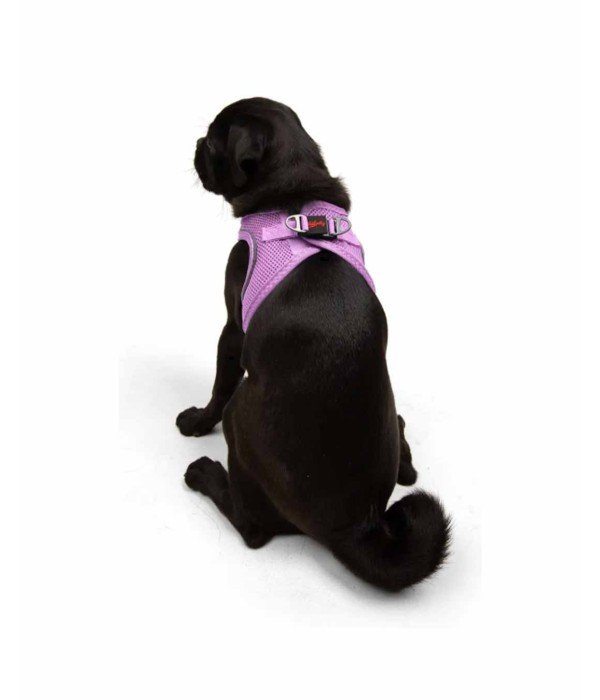 Tailpetz Air-mesh Harness Köpek Göğüs Tasması - Lila M Tailpetz Air-mesh Harness Köpek Göğüs Tasması - Lila M