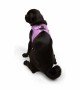 Tailpetz Air-mesh Harness Köpek Göğüs Tasması - Lila M Tailpetz Air-mesh Harness Köpek Göğüs Tasması - Lila M