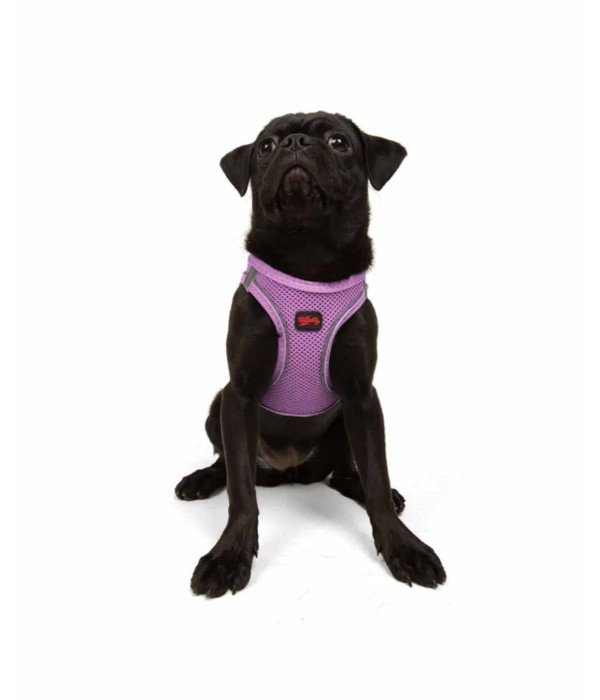Tailpetz Air-mesh Harness Köpek Göğüs Tasması - Lila M Tailpetz Air-mesh Harness Köpek Göğüs Tasması - Lila M
