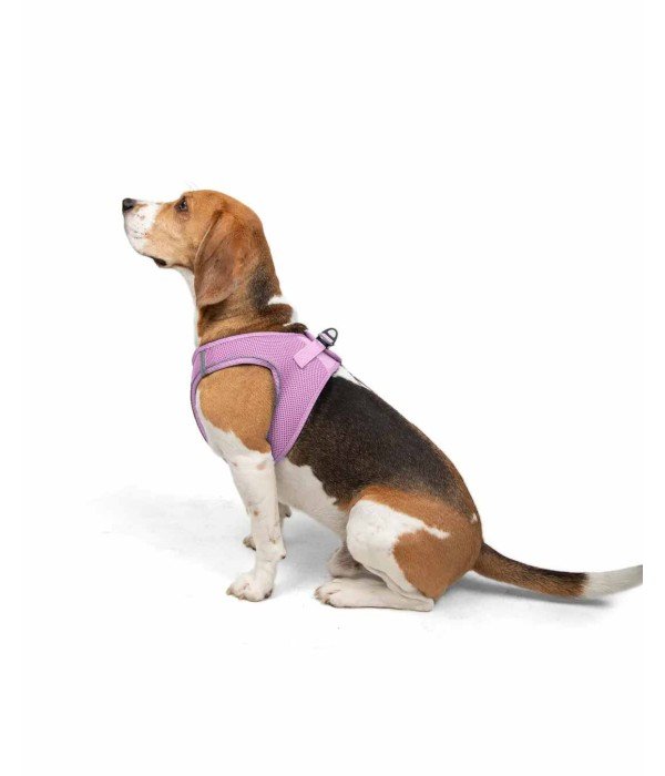 Tailpetz Air-mesh Harness Köpek Göğüs Tasması - Lila L