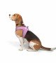 Tailpetz Air-mesh Harness Köpek Göğüs Tasması - Lila L