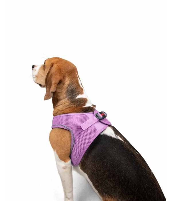 Tailpetz Air-mesh Harness Köpek Göğüs Tasması - Lila L