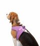 Tailpetz Air-mesh Harness Köpek Göğüs Tasması - Lila L
