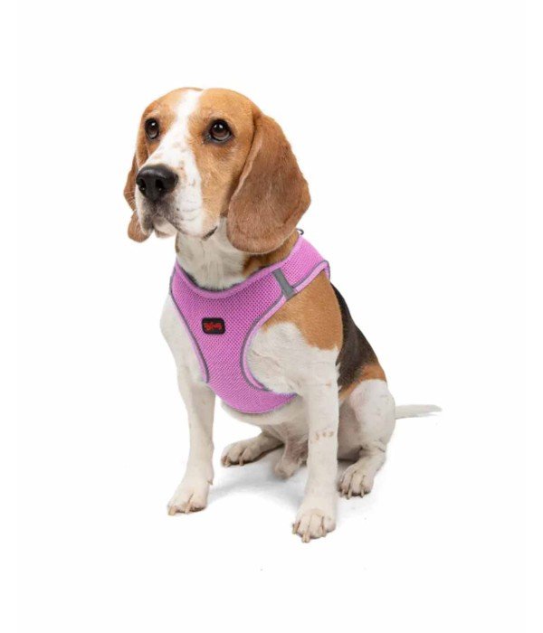 Tailpetz Air-mesh Harness Köpek Göğüs Tasması - Lila L