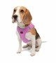 Tailpetz Air-mesh Harness Köpek Göğüs Tasması - Lila L