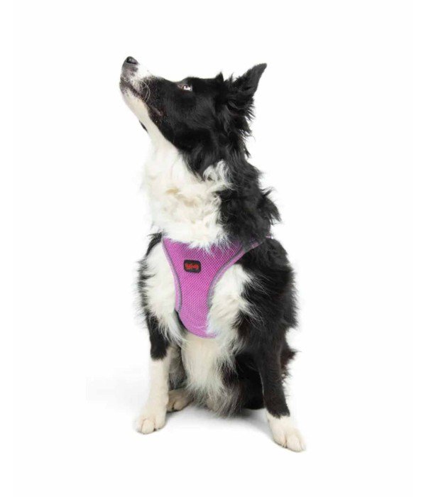 Tailpetz Air-mesh Harness Köpek Göğüs Tasması - Lila XL