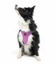 Tailpetz Air-mesh Harness Köpek Göğüs Tasması - Lila XL