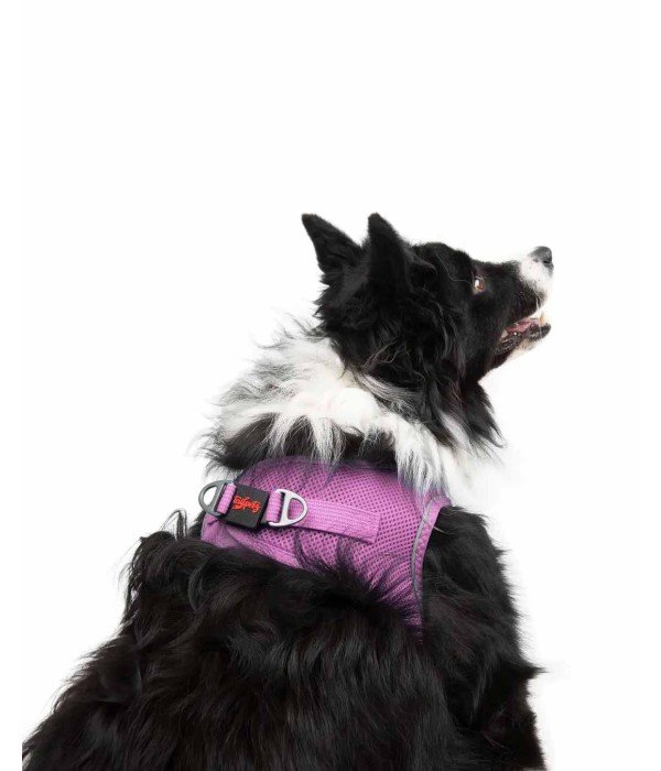 Tailpetz Air-mesh Harness Köpek Göğüs Tasması - Lila XL