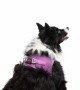 Tailpetz Air-mesh Harness Köpek Göğüs Tasması - Lila XL