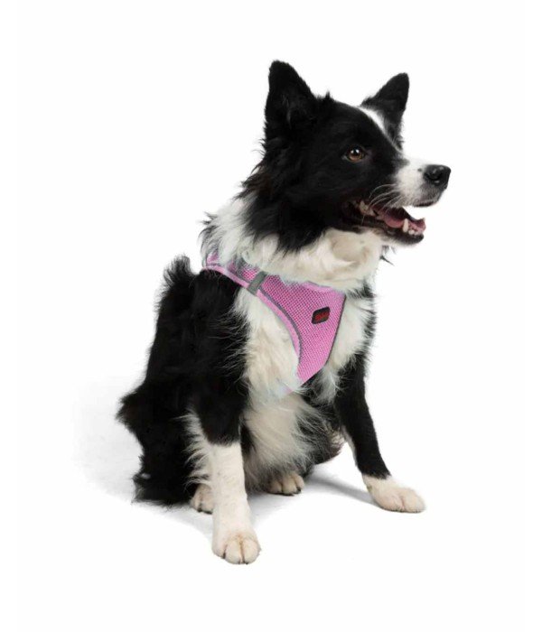 Tailpetz Air-mesh Harness Köpek Göğüs Tasması - Lila XL