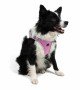 Tailpetz Air-mesh Harness Köpek Göğüs Tasması - Lila XL