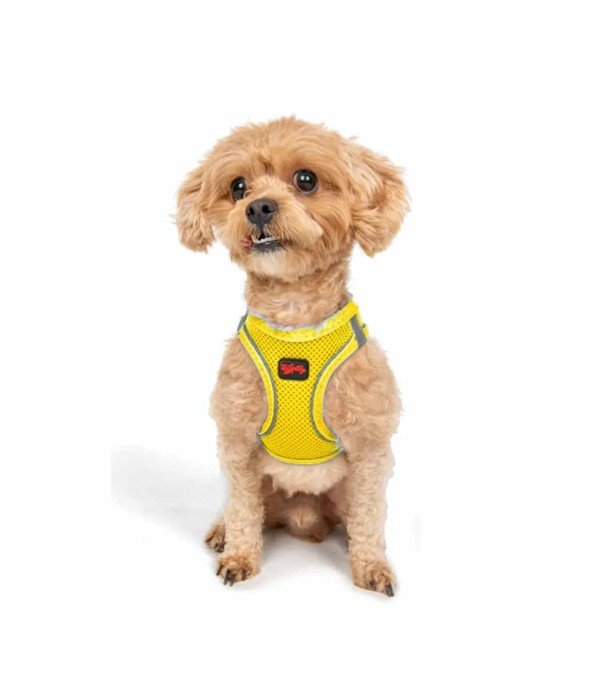 Tailpetz Air-mesh Harness Köpek Göğüs Tasması - Sarı 2XS