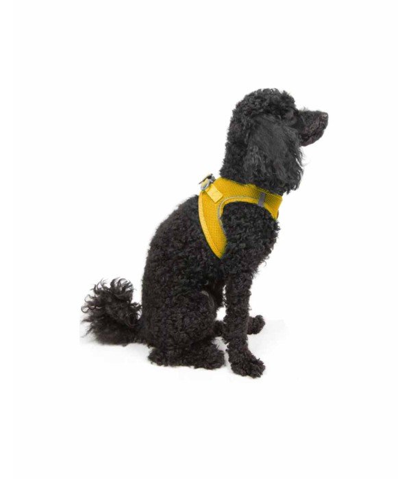 Tailpetz Air-mesh Harness Köpek Göğüs Tasması - Sarı XS