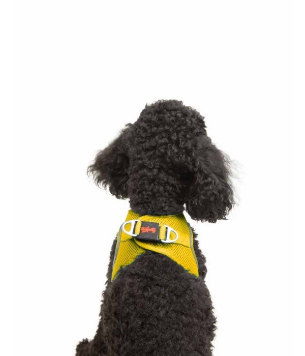 Tailpetz Air-mesh Harness Köpek Göğüs Tasması - Sarı XS