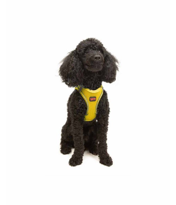 Tailpetz Air-mesh Harness Köpek Göğüs Tasması - Sarı XS