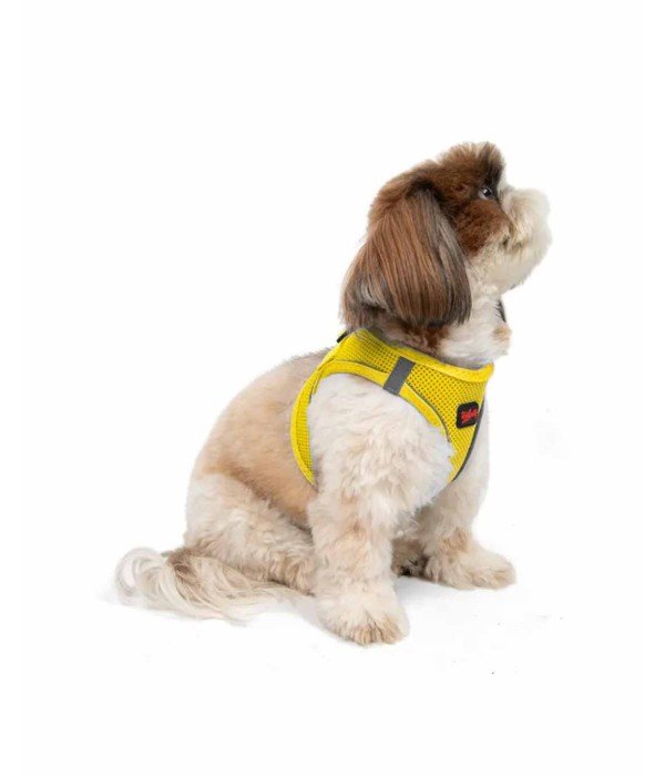 Tailpetz Air-mesh Harness Köpek Göğüs Tasması - Sarı S