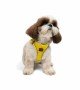Tailpetz Air-mesh Harness Köpek Göğüs Tasması - Sarı S