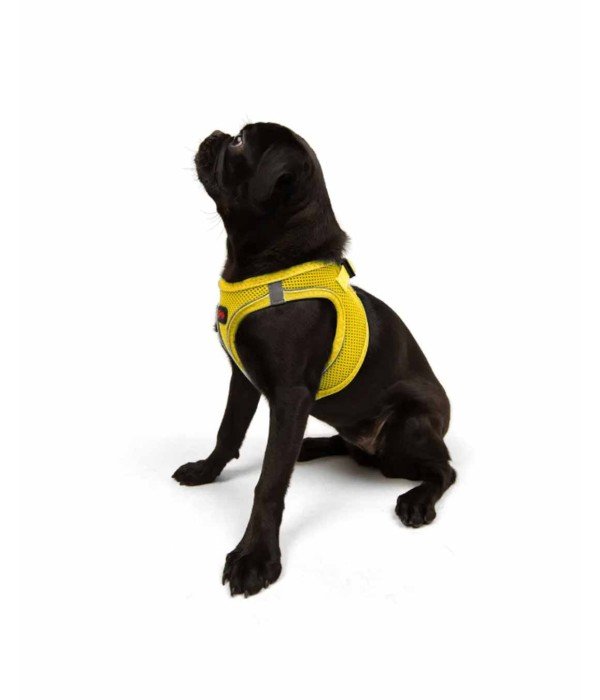 Tailpetz Air-mesh Harness Köpek Göğüs Tasması - Sarı M