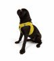 Tailpetz Air-mesh Harness Köpek Göğüs Tasması - Sarı M