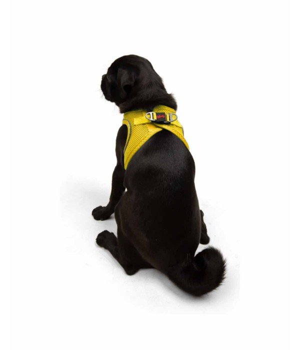 Tailpetz Air-mesh Harness Köpek Göğüs Tasması - Sarı M